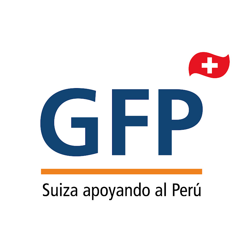 Programa GFP Subnacional