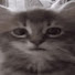 KvrnLMJrgqo-channel-avatar-eliasperhaps