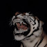 yY_-0SQSBbo-channel-avatar-lucian