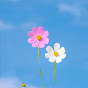 Miniature