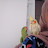 @AAlKindi-e5b