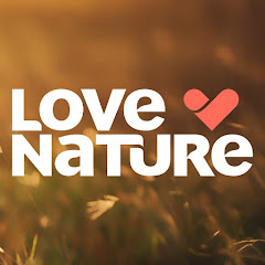 Channel thumbnail for Love Nature