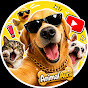 AnimalAura