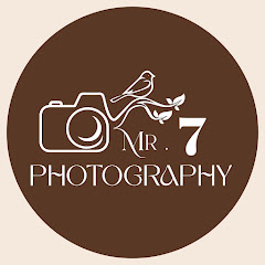 Mr 7 Photography