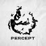 GAfXhMRWFZA-channel-avatar-Percept