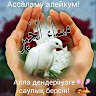 Автор