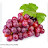 @YummyGrapes-e5q