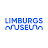 Limburgs Museum filmcollectie