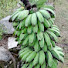 76L0eEOd6SM-channel-avatar-- FARM -