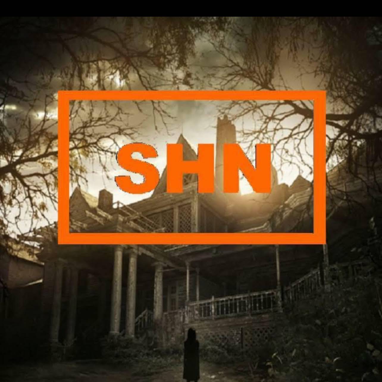 Post from SHN Survival Horror Network