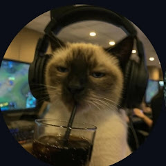 Unsolved Shadows Cases 