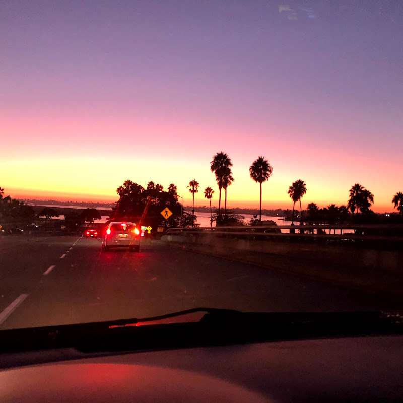 Steve’s music & travel