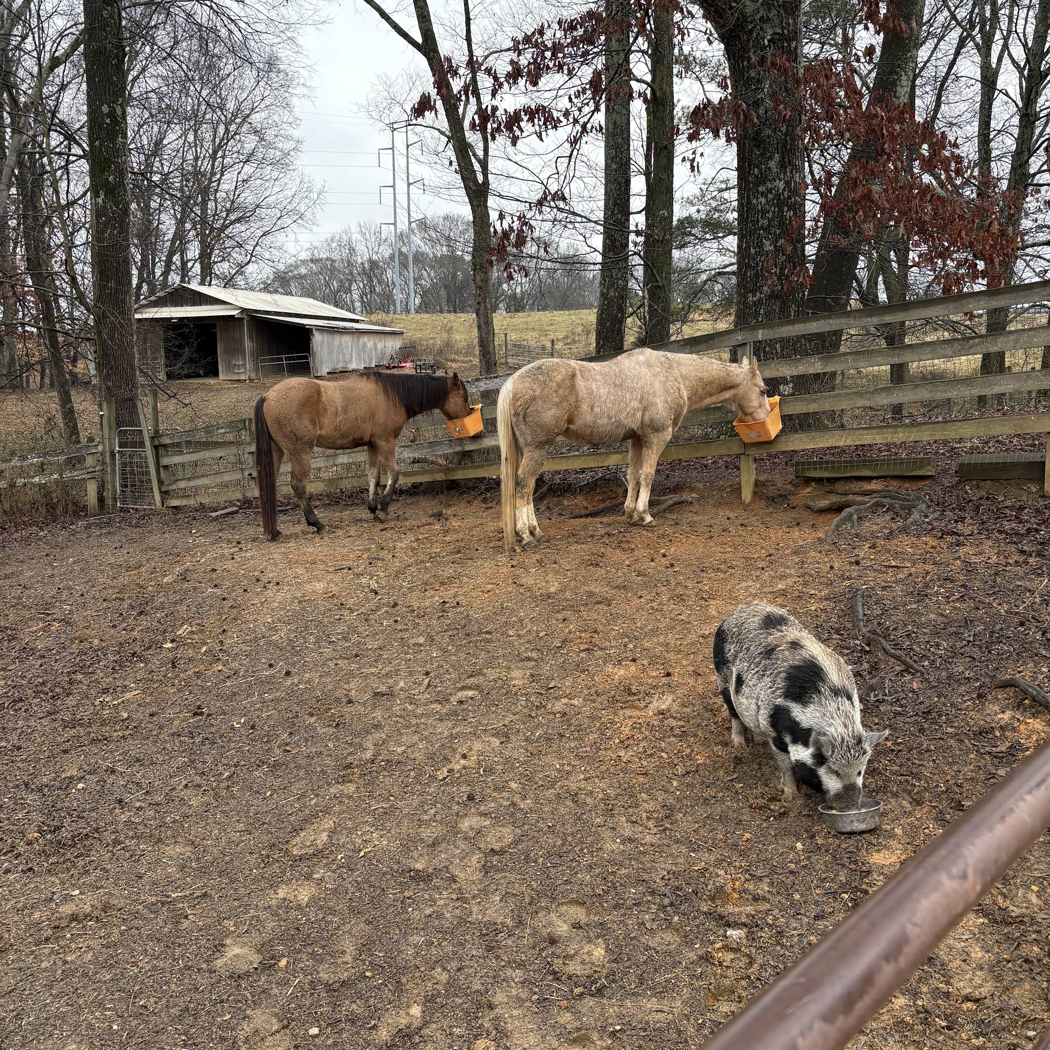 Post from Slatton Farm