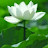 @에게이로-b3w