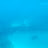 @핑크색_18