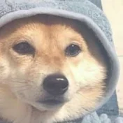 シᴛʜᴀᴛᴏɴᴇʟᴀᴢʏᴛᴀᴜʀᴜsシ