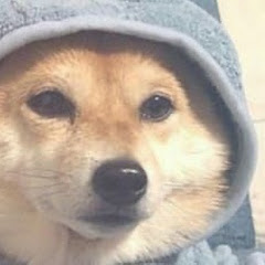 シᴛʜᴀᴛᴏɴᴇʟᴀᴢʏᴛᴀᴜʀᴜsシ