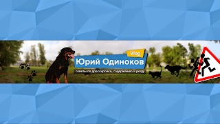 Заставка Ютуб-канала «РОТТкот ФРОНТ»