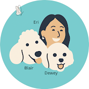 コッカープーマム　スザキエリ