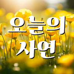 오늘의 사연