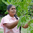 o9d5axheb1I-channel-avatar-SL Tamil