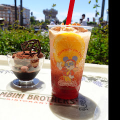 1人でディズニー