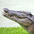 @CrocodylusPorosus-vn8uu