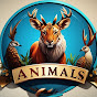 Animal Secrets logo