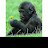@Caleb-ki9hj Avatar