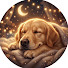 rCfSMIkXOc8-channel-avatar-CozyDogs - Calming Music for Dog