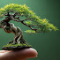 -emN7Q3UZmU-channel-avatar-World of Bonsai