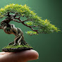 World of Bonsai logo