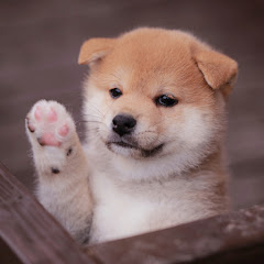 テツヤ