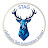 Software Test Automation Group (STAG)