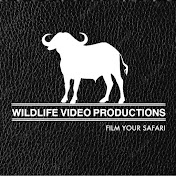 Wildlife Video Productions
