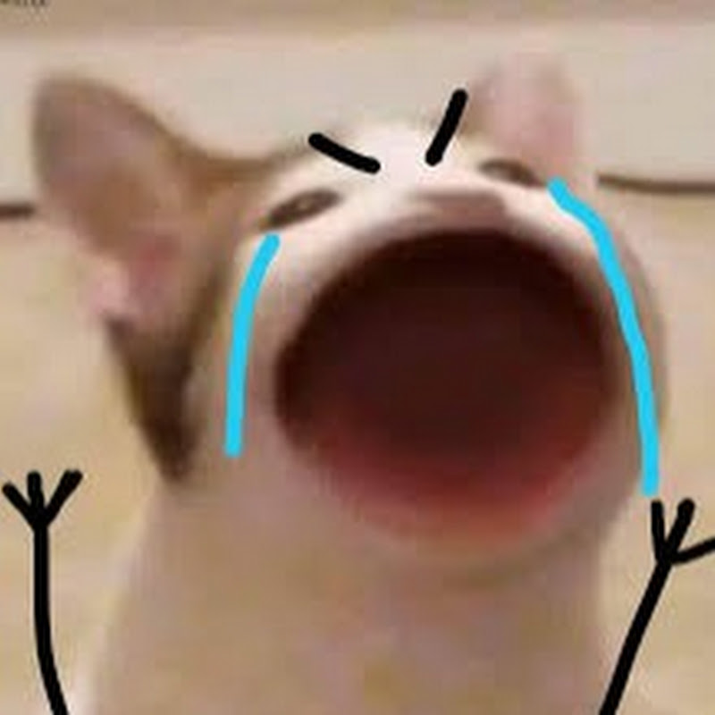 Si Liems