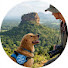 HQHp2k3q4Dg-channel-avatar-Travel with Ruvi 