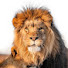 0BsULZweRgo-channel-avatar-The Kingdom of God Tv