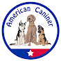 American Caniner - Dog Training Services in Akron logo