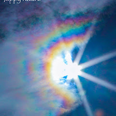 海に移住DIYセルフリノベーションアイコン画像