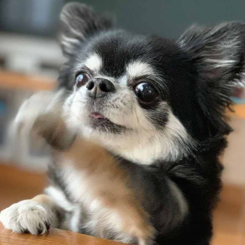 Kiyo’s 3D Printing Crafts