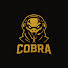 vHGz1NZjdXA-channel-avatar-Cobra342