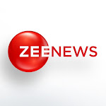 Zee News Net Worth