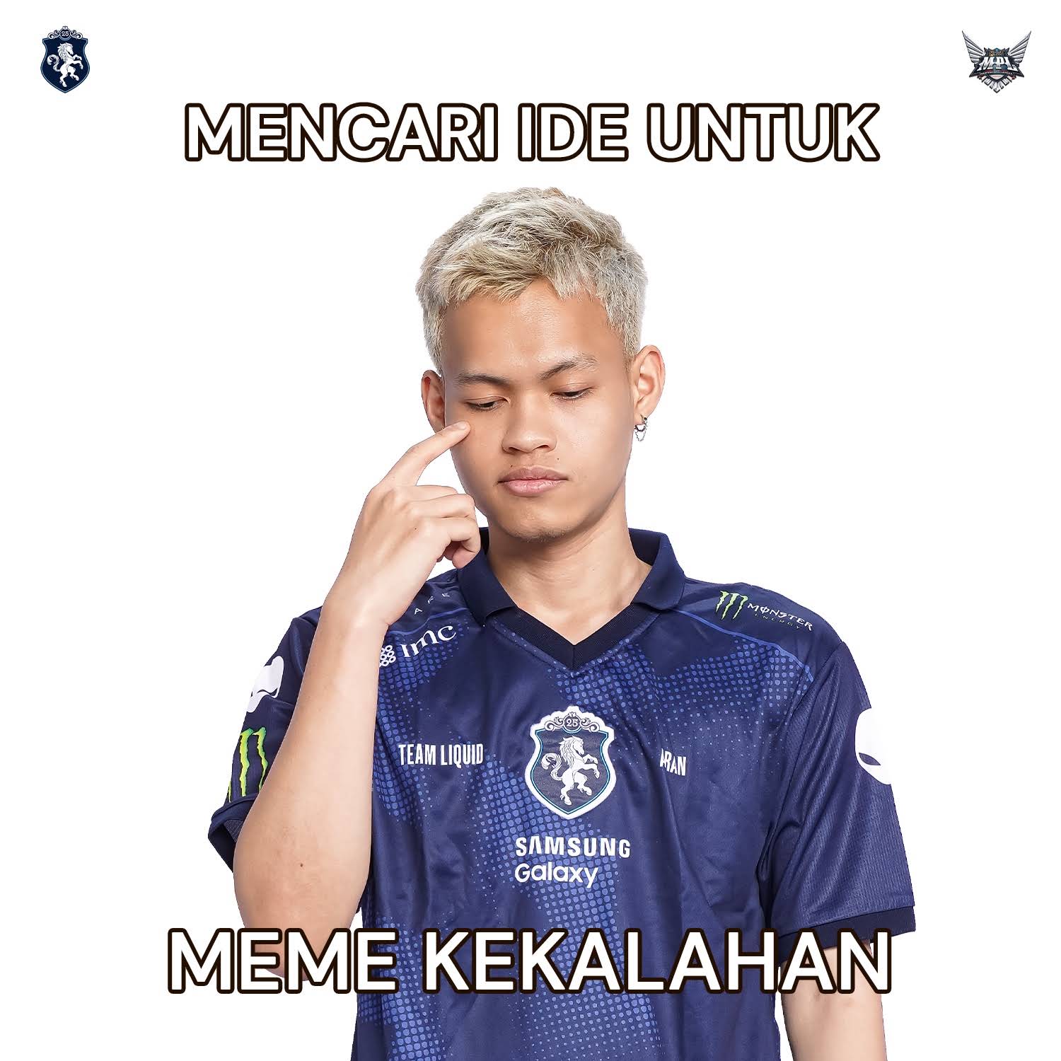 Post from Team Liquid ID