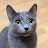@angoasa_neagra's avatar