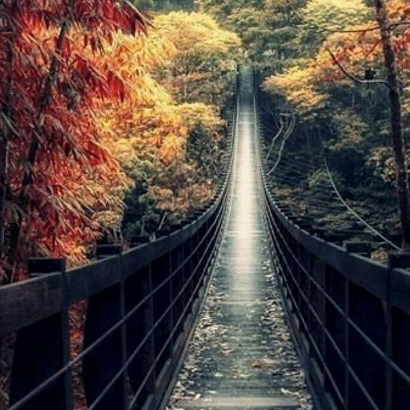 It's Awesome Nature