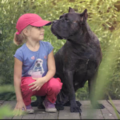 Furry & Tiny Adventures channel avatar