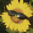 MYZE5-3w1CE-channel-avatar-fullsunnnner