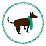 pU9fgOPsbgA-channel-avatar-The Chilly Dog