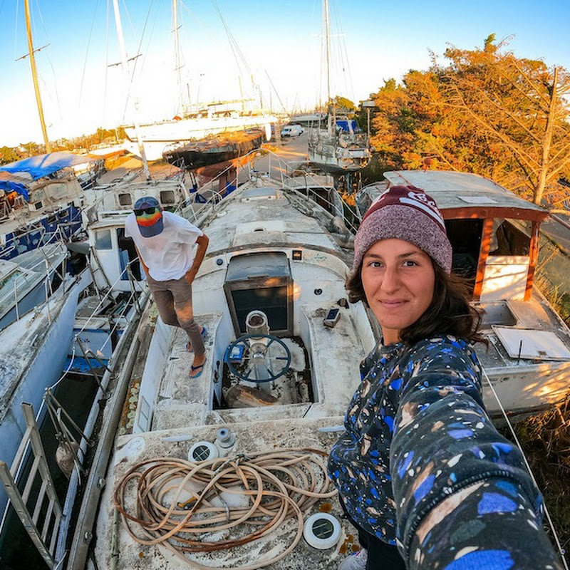 sailingseabird